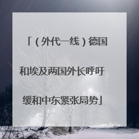 （外代一线）德国和埃及两国外长呼吁缓和中东紧张局势