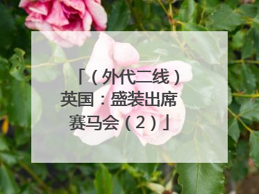 （外代二线）英国：盛装出席赛马会（2）