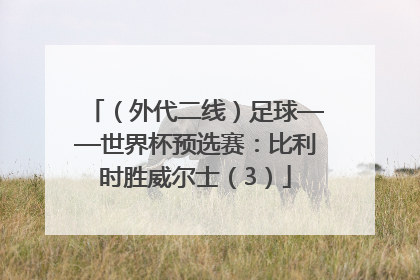 （外代二线）足球——世界杯预选赛：比利时胜威尔士（3）