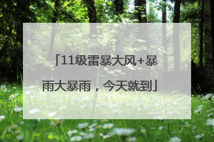 11级雷暴大风+暴雨大暴雨，今天就到