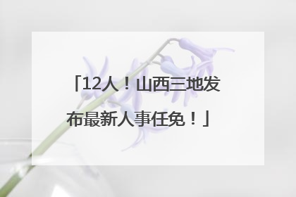 12人！山西三地发布最新人事任免！