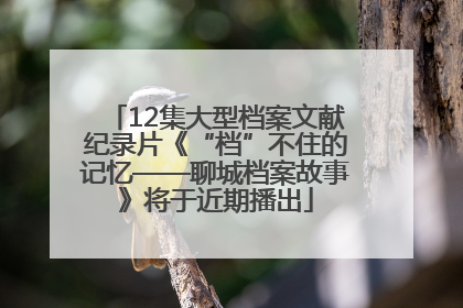 12集大型档案文献纪录片《“档”不住的记忆——聊城档案故事》将于近期播出