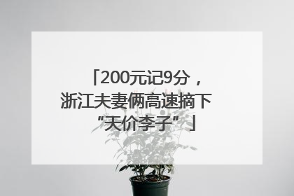 200元记9分，浙江夫妻俩高速摘下“天价李子”