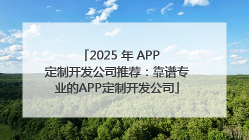 2025 年 APP 定制开发公司推荐：靠谱专业的APP定制开发公司