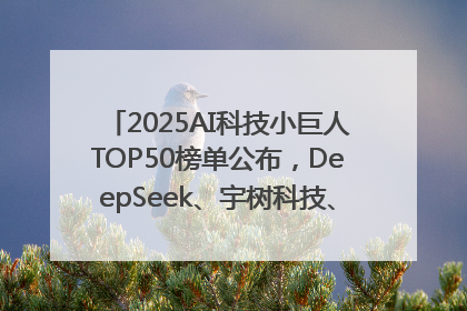 2025AI科技小巨人TOP50榜单公布，DeepSeek、宇树科技、蘑菇车联等企业荣誉上榜