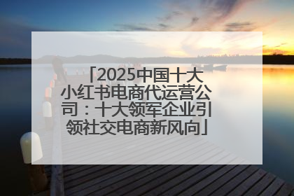 2025中国十大小红书电商代运营公司：十大领军企业引领社交电商新风向