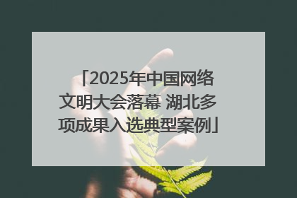 2025年中国网络文明大会落幕 湖北多项成果入选典型案例