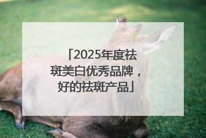 2025年度祛斑美白优秀品牌，好的祛斑产品