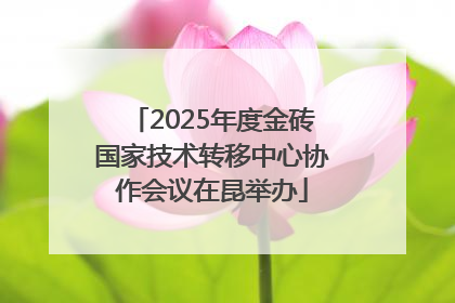 2025年度金砖国家技术转移中心协作会议在昆举办