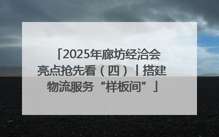 2025年廊坊经洽会亮点抢先看（四）丨搭建物流服务“样板间”