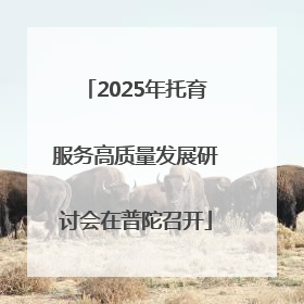 2025年托育服务高质量发展研讨会在普陀召开