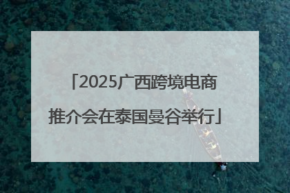 2025广西跨境电商推介会在泰国曼谷举行