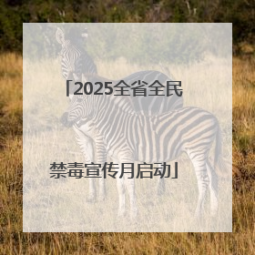 2025全省全民禁毒宣传月启动