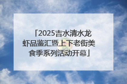 2025吉水清水龙虾品鉴汇暨上下老街美食季系列活动开幕