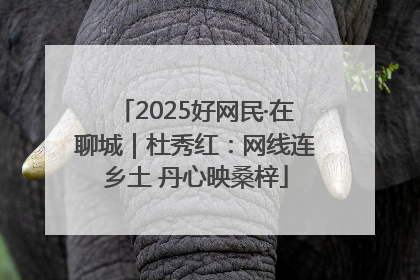 2025好网民·在聊城｜杜秀红：网线连乡土 丹心映桑梓