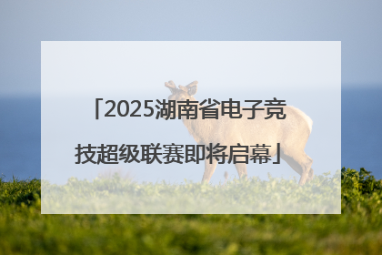 2025湖南省电子竞技超级联赛即将启幕