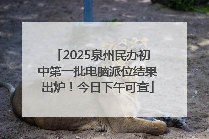 2025泉州民办初中第一批电脑派位结果出炉！今日下午可查