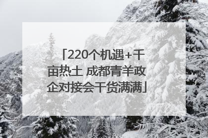 220个机遇+千亩热土 成都青羊政企对接会干货满满