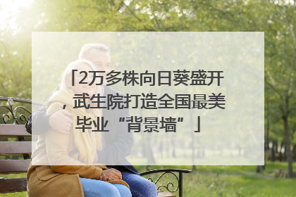 2万多株向日葵盛开，武生院打造全国最美毕业“背景墙”