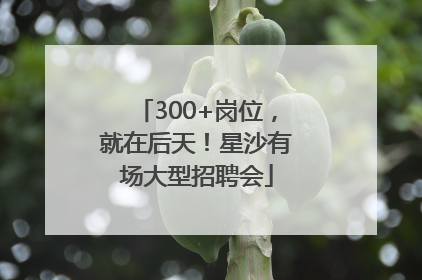 300+岗位，就在后天！星沙有场大型招聘会