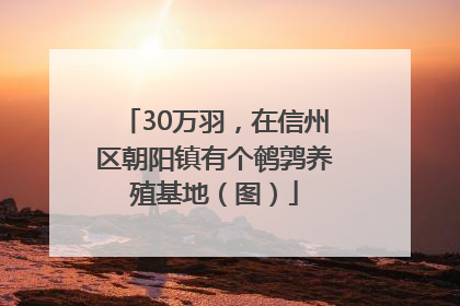 30万羽，在信州区朝阳镇有个鹌鹑养殖基地（图）