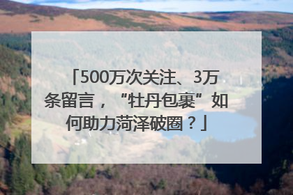 500万次关注、3万条留言，“牡丹包裹”如何助力菏泽破圈？