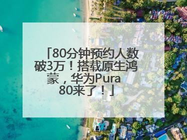 80分钟预约人数破3万！搭载原生鸿蒙，华为Pura 80来了！