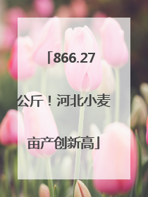 866.27公斤！河北小麦亩产创新高