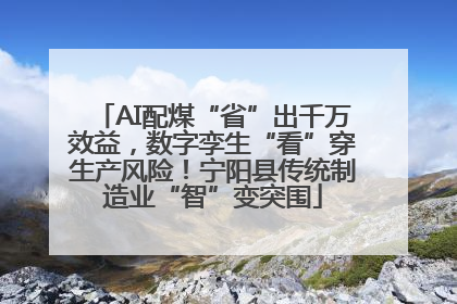 AI配煤“省”出千万效益，数字孪生“看”穿生产风险！宁阳县传统制造业“智”变突围