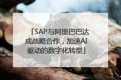 SAP与阿里巴巴达成战略合作，加速AI驱动的数字化转型
